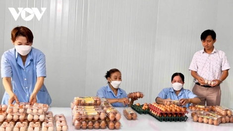 ពត៌មាន​ម៉ោង៦