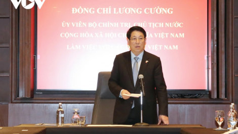 CHỦ TỊCH NƯỚC LƯƠNG CƯỜNG PA BHRỢ LÂNG APÊÊ ĐẠI SỨ VIỆT NAM ĐHỊ ZR’LỤ CHÂU PHI