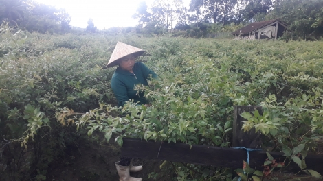 BH’NƠƠN LIÊM TƠỢ PR’ĐHANG BH’RỢ CHOH BĂN COH CHR’VAL SÔNG VÀNG