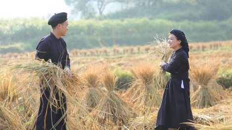 PHÁC CẰM SLƯƠNG ĐIẾP (CHỦ NHẬT VẰN 21-9)