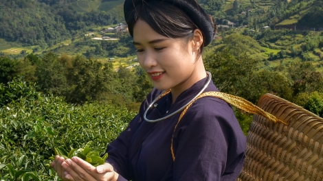 PỈ NOỌNG TỈNH ĐÀI XÁU CHƯƠNG TRÌNH (Chủ nhật, vằn 24 bươn 8 pi 2025)