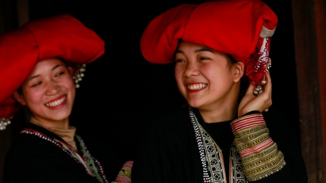 Phai paz nhây phiến