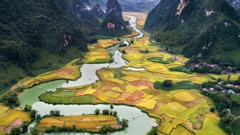 Danak dak sap Cam 24_08_2025