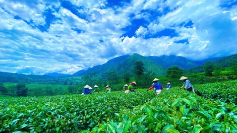 Chương trình phát thanh quam Tay, thứ 2 mự 01 căm bườn 9 pì 2025