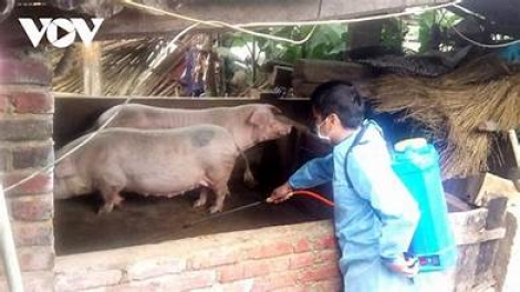 “ ‘Nĕ kơ lăng pơhơi hăm jĭ klak nhŭng châu Phi”