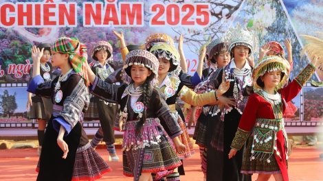 Tsaz yênhx suôz gâux mênhx cxưx tsơưs nênhs hnuz 29-8-2025