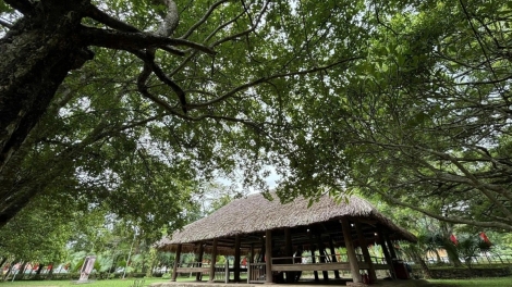 T’NGAY C’LOOT C’XÊÊ T’COOL COH VÊÊL ĐONG CÁCH MẠNG VIỆT BẮC