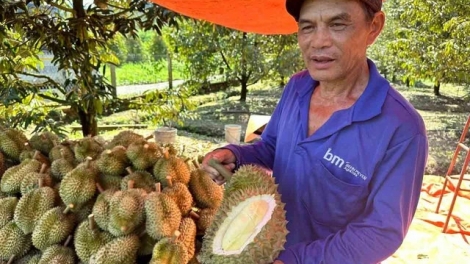 ពត៌មាន​ម៉ោង៦