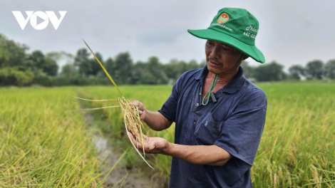 JALAN PAYENG DI KAYA NGAK NONG JIEN TIK USD DI VIET NAM