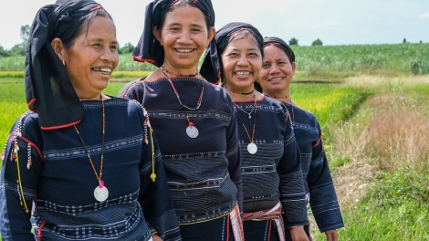 Rủ nhau đi hái rau rừng