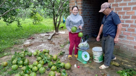 Kiăng hơmâo hơdră djru phara kiăng đĭ kyar gơnam mơ̆ng hmua kual čư̆ siăng