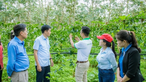 Pơma đam găh “Trong jang atŏk tơiung hơdai vă pơtăm păng tĕch plei gui yoăn kơjăp ” tơ̆ Đắk Lắk