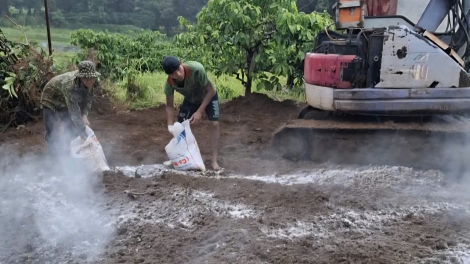 Càr Gia Lai: 14 sàh geh kòp jê ndul gơ jroh sur câu Phi, tơp pơrguc rlau 700 nơm sur kòp
