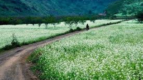 Danak dak sap Cam 12_08_2025