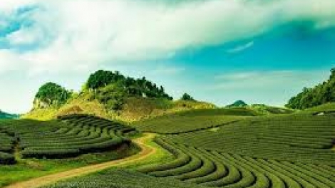 Danak dak sap Cam 14_08_2025