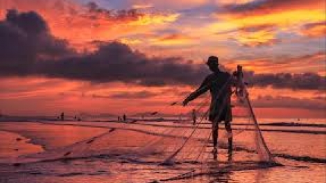 Danak dak sap Cam 29_08_2025