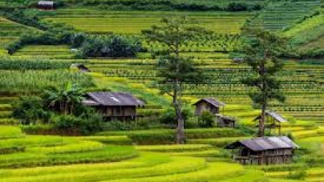 Danak dak sap Cam 06_08_2025