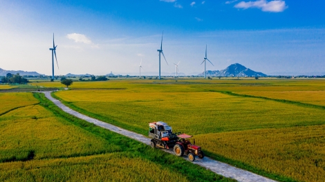 DUAH THAU BAOH PANUAC " NGAK NONG", " NGAK HAMU", PALA PADAI"