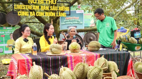 Kăn hnê ngăn cheăm livestream tê plâi sầu riêng châ tơƀrê, tơbleăng lâp lu tơdroăng ki pơ’lêh nếo ing Tíu tê mơdró a Dak Lak