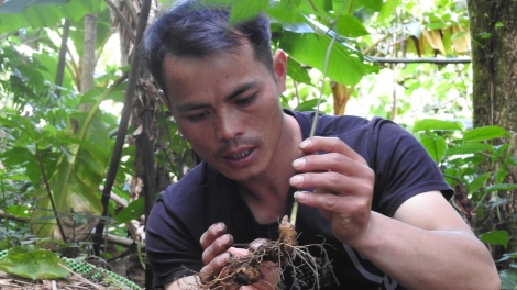 Bơh Jơnau lơh nền tàm pơrjum tơrmù rƀah tus broă lơh pas bơh kòn cau Sơdàng dê 