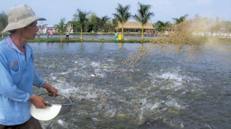  Ngon tô thứ 3 mự 23 bườn 9 pì 2025- Chự phong bệnh hẳư tồ pà cuồng dan phạ đìn nhại mua