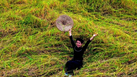 CHƯƠNG TRÌNH KHAY HENG TÀY - NÙNG (Thứ Tư, vằn xo ết bươn 10 pi 2025)