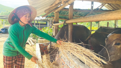 PÂN ĐIL ACOON COH NĂL XĂL CR’NOỌ CHA HA DƯR COH PR’ẶT TR’MÔNG