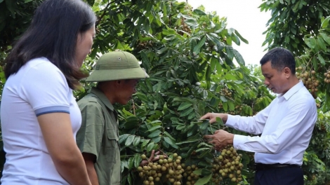 Lầy tzình phát sinh ìu miền vả thứ 2 hnoi 01/9/2025