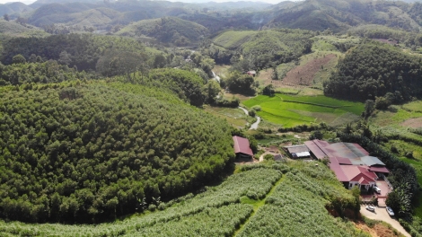 Coz làn tzấu cành tzuống miền zói ziêm Lào Cai sanhz nhây chaoz tzấu nhản