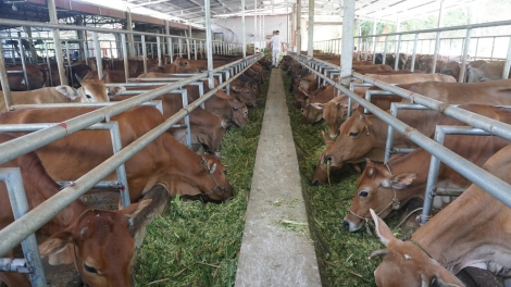 Ngon tô thứ 5 mự 25 bườn 9 pì 2025- Luông dệt riềng khòng po hay me na pộn dỏn nẳng tỉnh Lao Cài