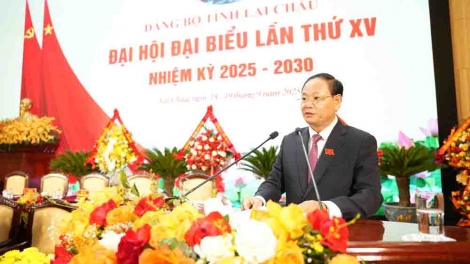 Phai paz nhây phiến
