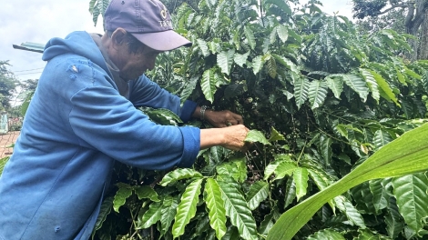 Dak Lak mơ-eăm troh hơnăm 2030 kô ôh pá ai xếo rơpŏng kơtiê