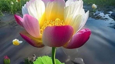 Danak dak sap Cam 30_09_2025