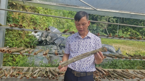 Ntu hlôngr yiêz thiêz huôv tsar