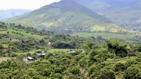 Chường trình phát thanh thứ 3 mự 23 căm bườn 9 pì 2025