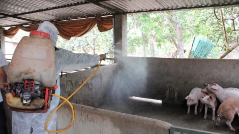 Dak Lak gang mkhư̆ klei ruă hlăm mnơ̆ng rông