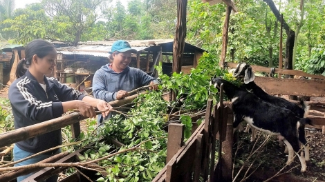 Tŏk iŏk jên tơgŭm djru-Kla hre mơmat tat, jơhngơ̆m pran vă kon pơlei choh jang sa Dak Lăk tơplih ‘nao