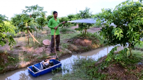 ផ្លែក្រូចឆ្មាគ្មានគ្រាប់ជួយឲ្យប្រជាកសិករនៅខេត្តវិញឡុងមានជីវភាពធូរធា។