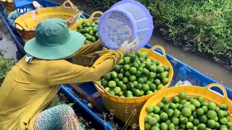 កសិករសម័យបច្ចេកវិជ្ជាទំនើប