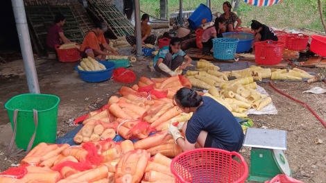 Ừu miền Lâm Thượng pliát chổm lái tzuống quýa, bỉe