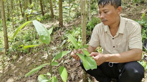 ĐHA NUÔR DA DING CA COONG ĐÀ NẴNG CHOH N’LOONG BHA LÂNG GA MĂC