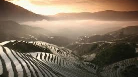 Danak dak sap Cam 24_09_2025