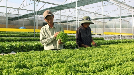 Lâm Đồng cơnđòa kơ̆ bơt bơtàu rài tơnơ̆ do 