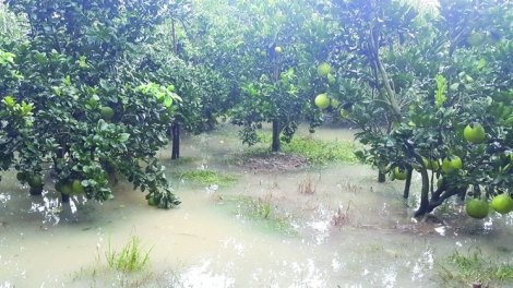 Phàn cấu điéng nhản piêuz gang hít puồng lổ ím