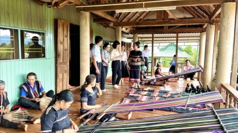 Tan brai (Dệt vải)