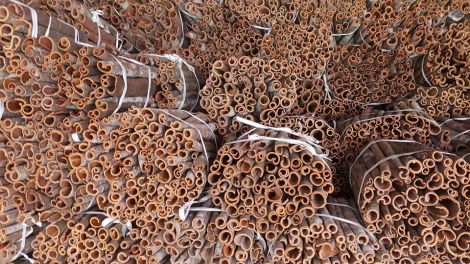 Làn miền thính múa tỏi Xuân Ái tzấu pút tzòi láy tzuống quýa