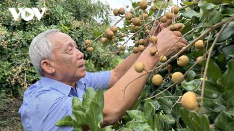 ពត៌មាន​ម៉ោង១៥