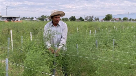 KHANH HOA PATAGOK BHUM URANG BANGSA TAKIK