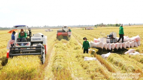 RAMIK PONG RAH HADEI YUAK KUAK MENG CHE PHAM SINH HOC