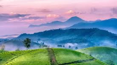 Danak dak sap Cam 17_09_2025